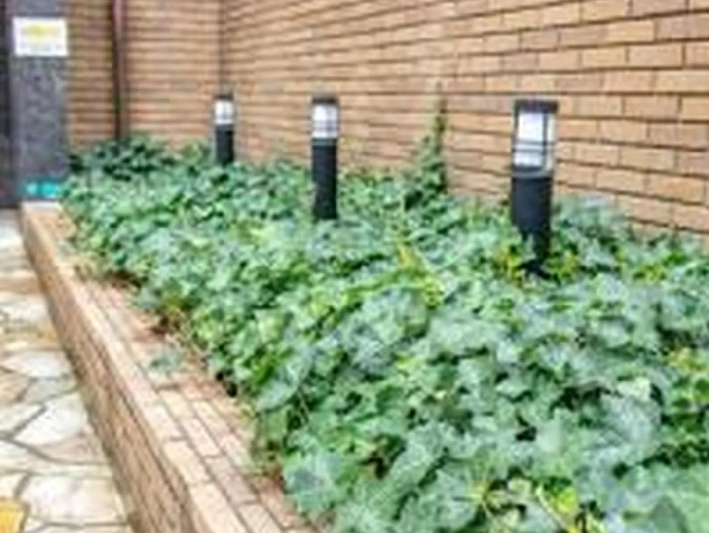 Apartmán Yuki 403 Ósaka